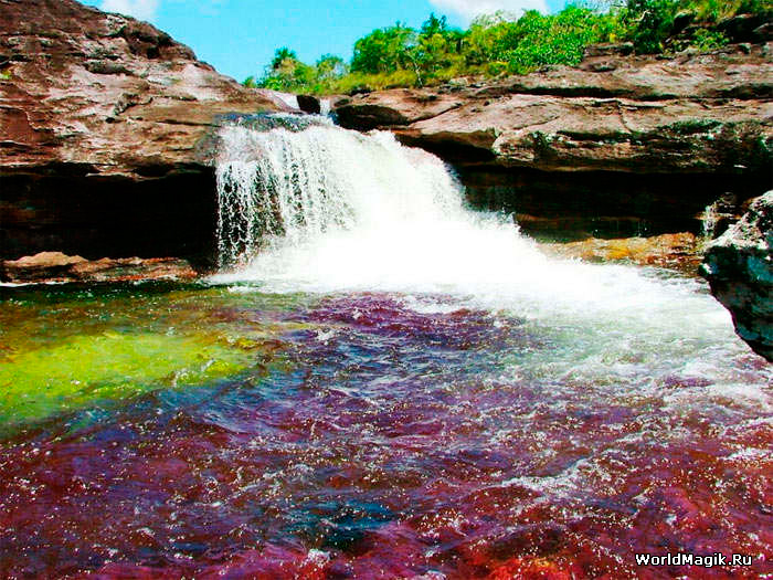 Каньо Кристалес – самая красивая река на Земле